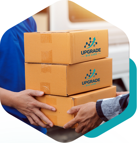 Professional Logistics